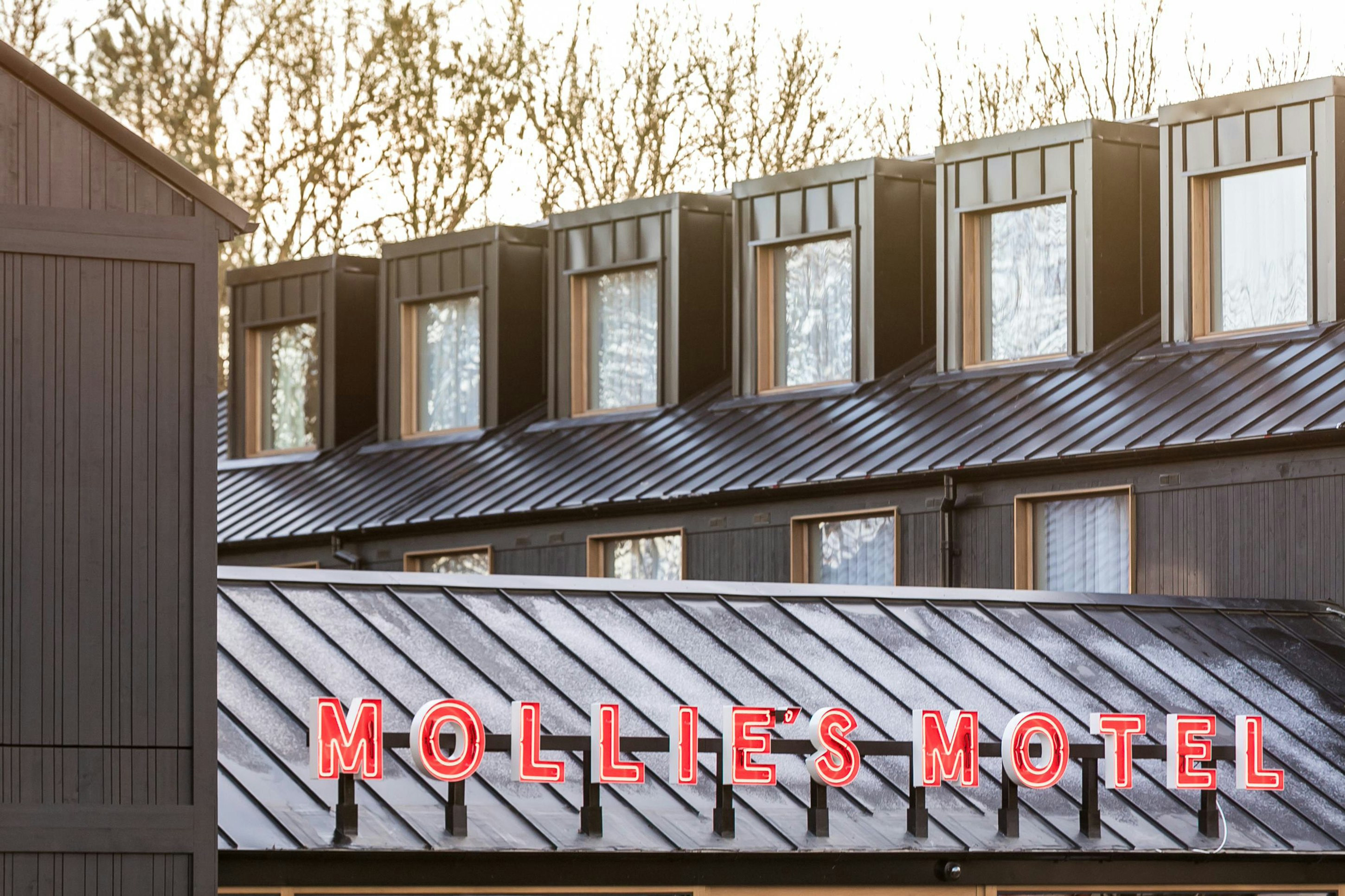 Mollies Motel 4/18