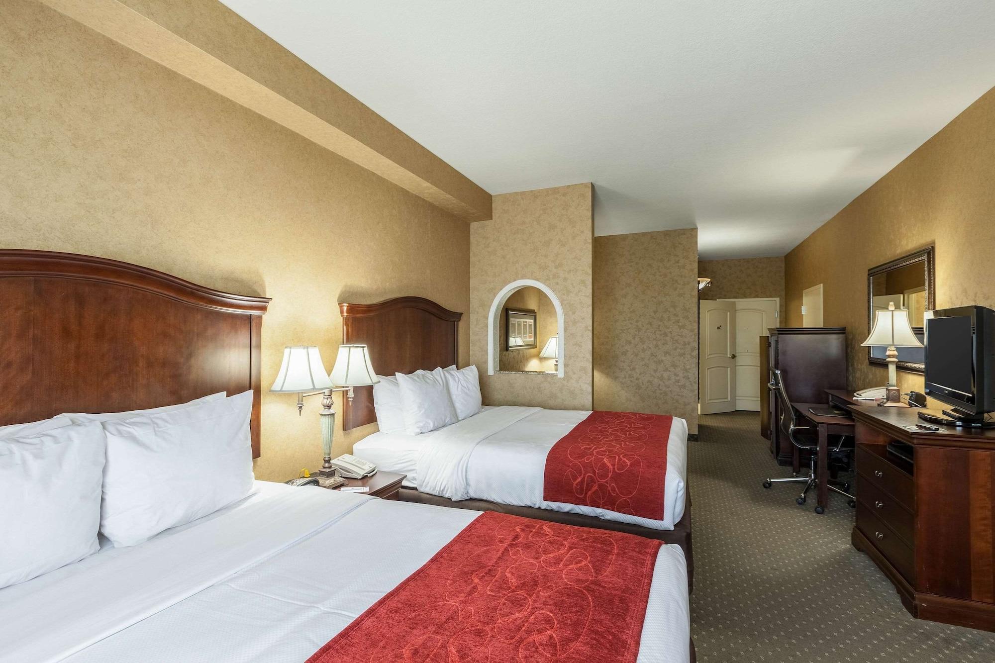 Suite, Multiple Beds, Accessible