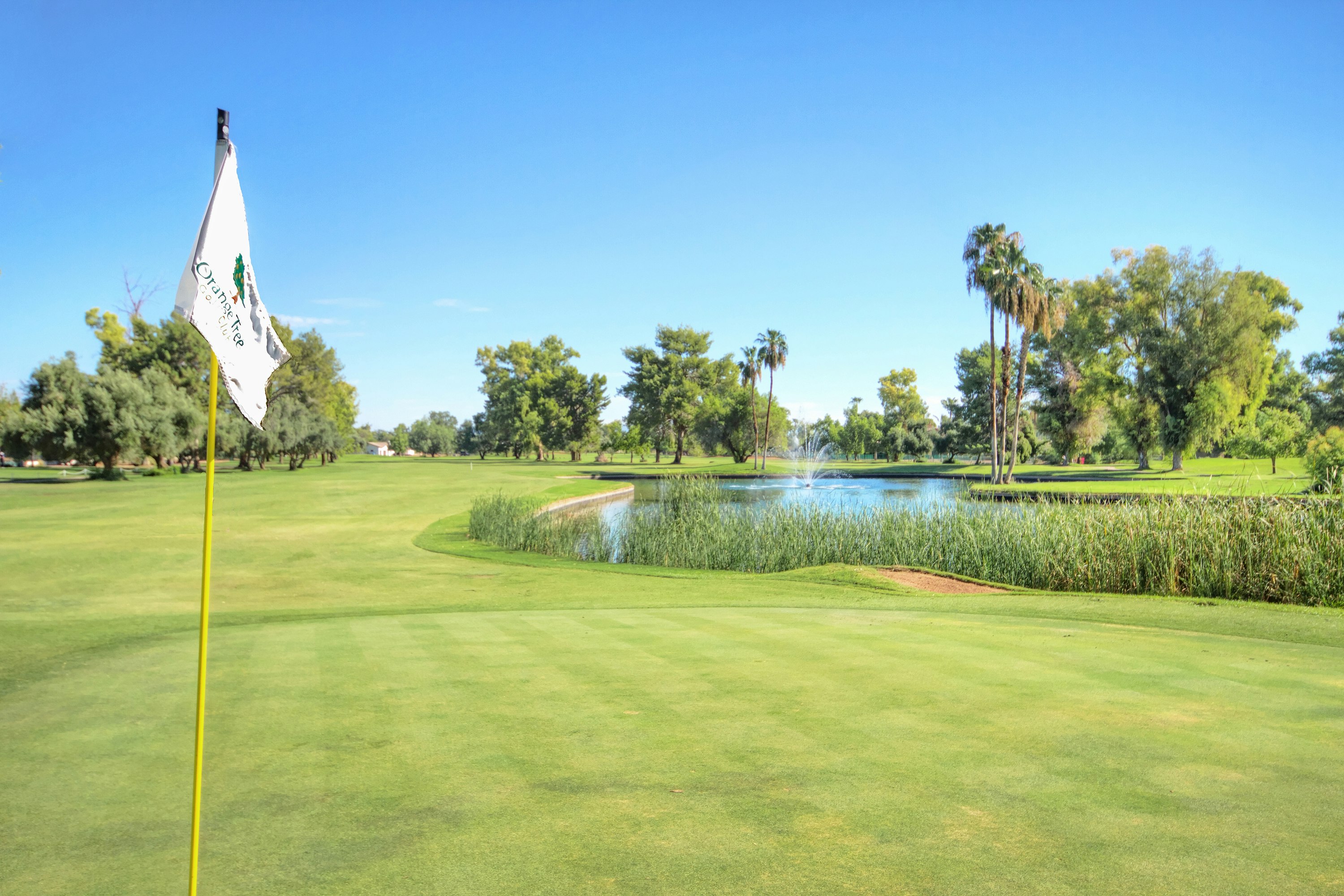 Orange Tree Resort 43/82