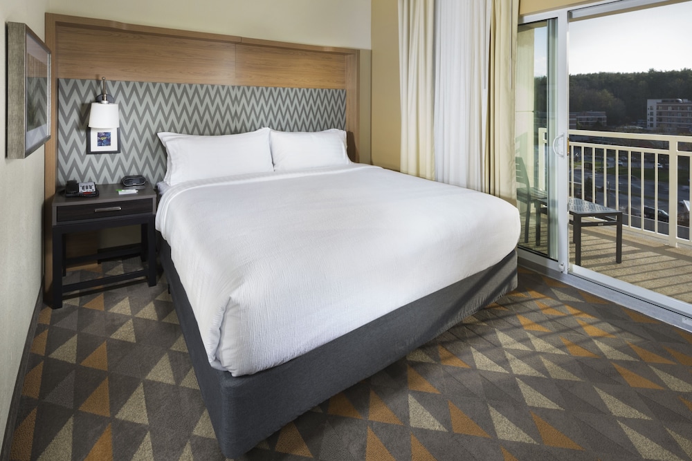 Holiday Inn & Suites Asheville-Biltmore Village Area 30/70