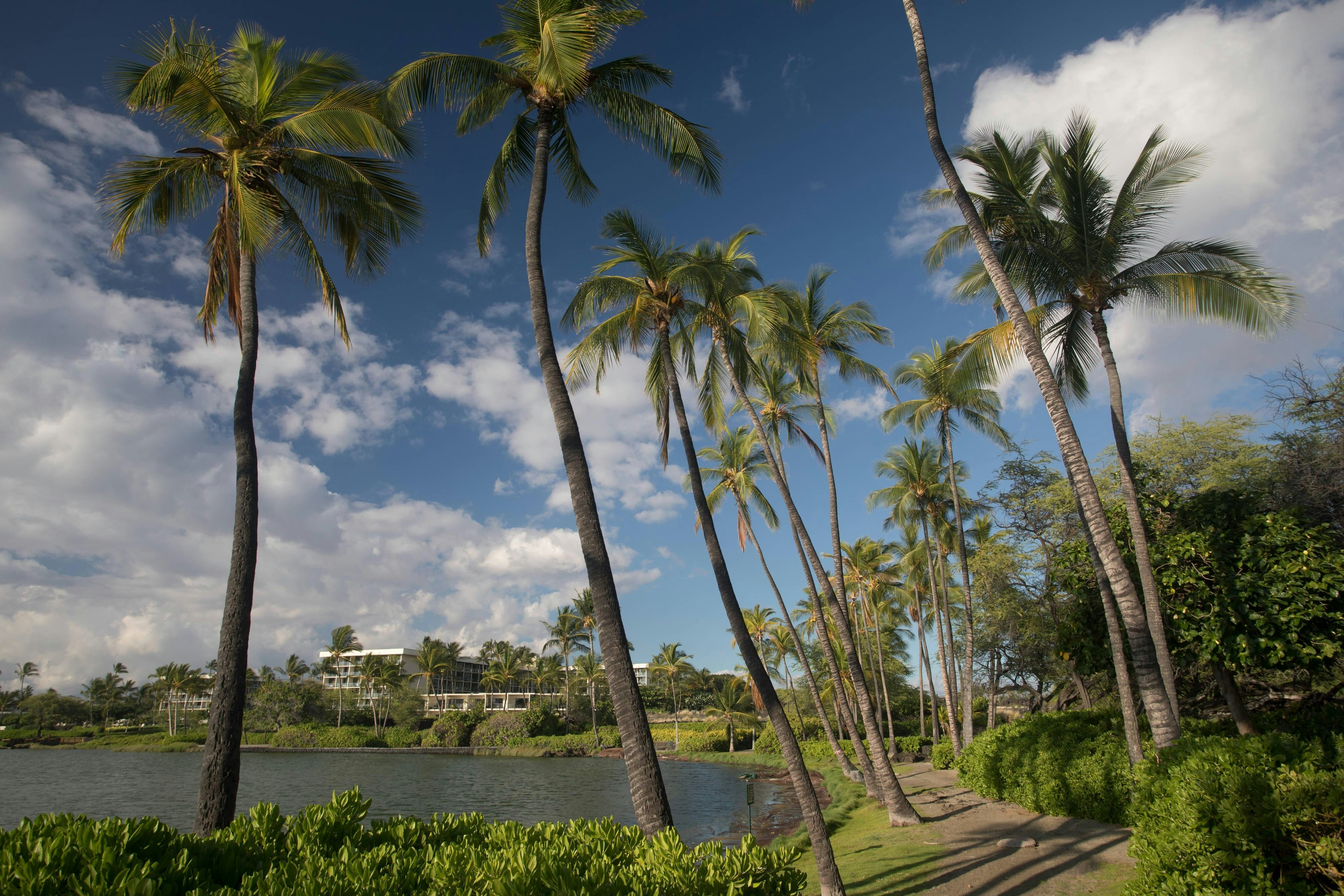 Marriott Waikoloa Beach Resort Amp Spa 31/40