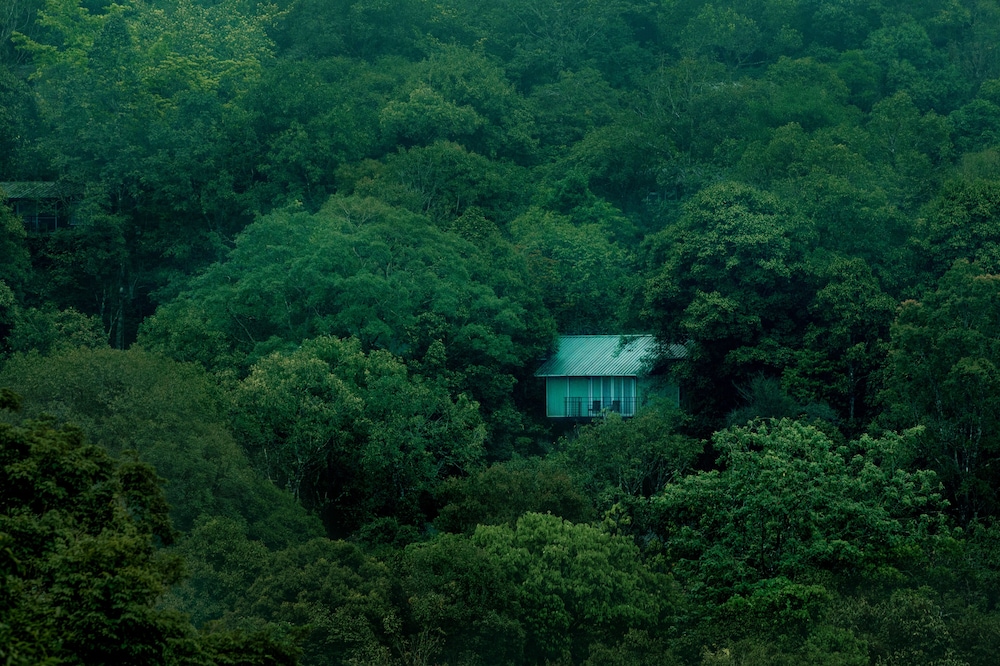Wayanad Wild - Cgh Earth 12/48