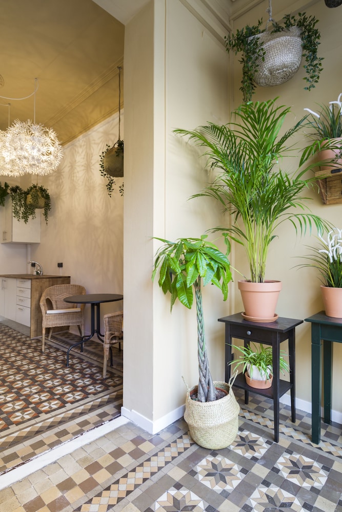 Casa Maca Guest House 1/50