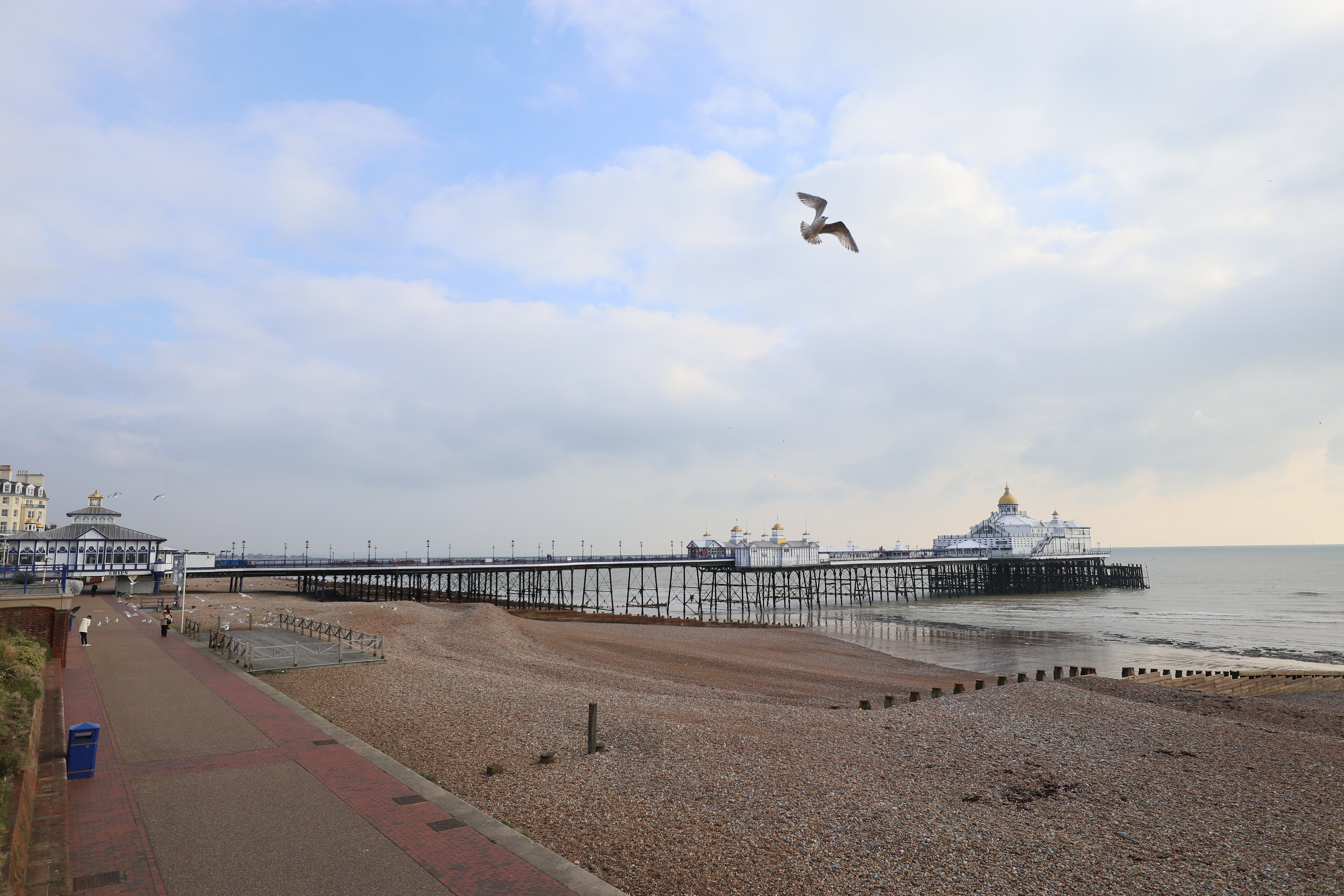 Citrus Hotel Eastbourne 49/58