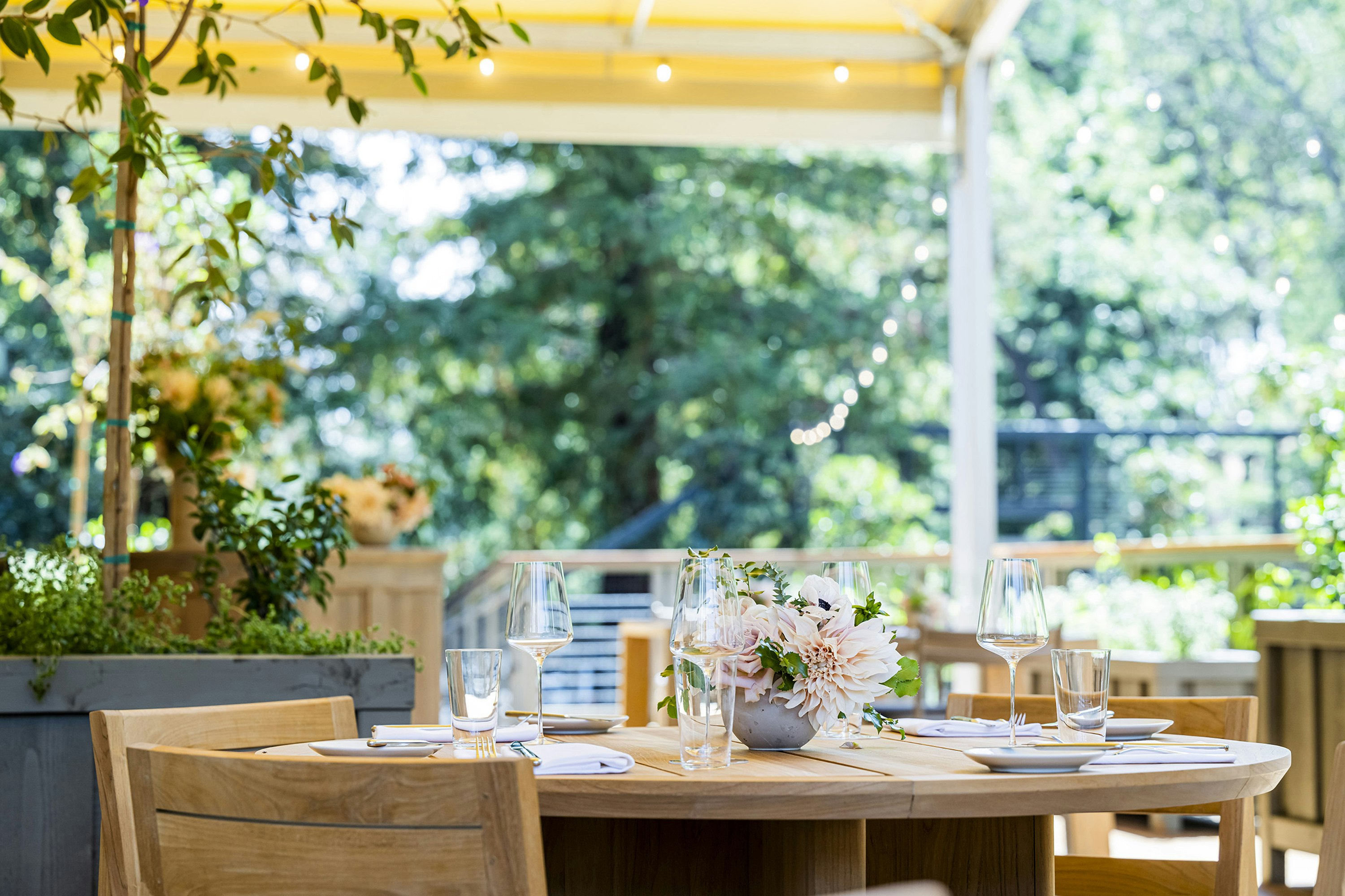 Meadowood Napa Valley 34/50