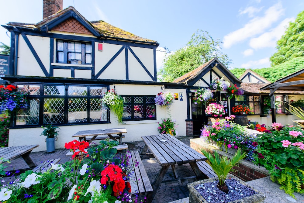 Ye Olde Red Lion 1/12