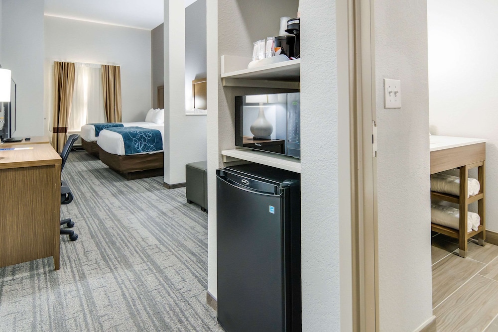 Comfort Suites DeSoto Dallas South 12/51