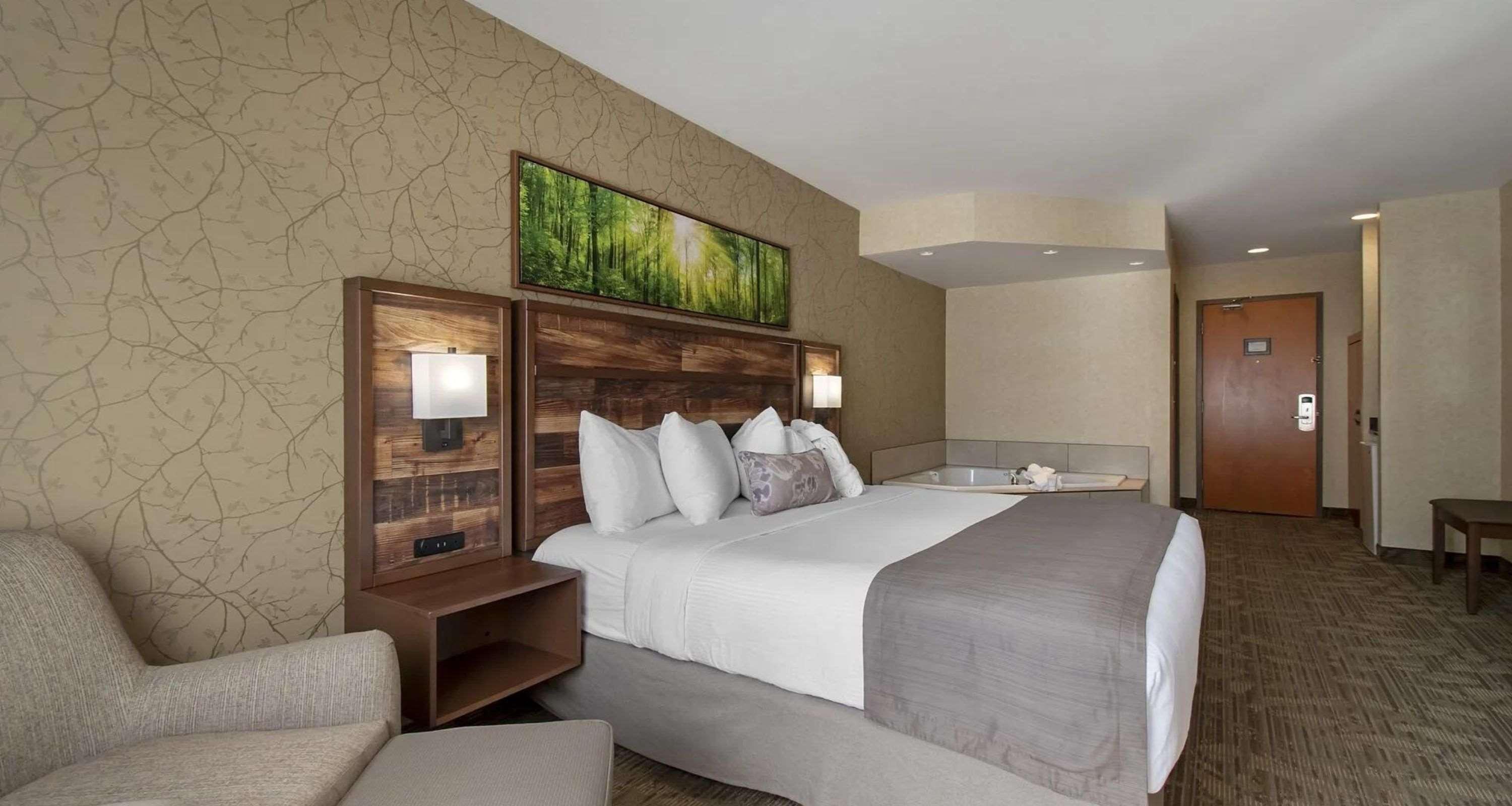 Room, King Bed