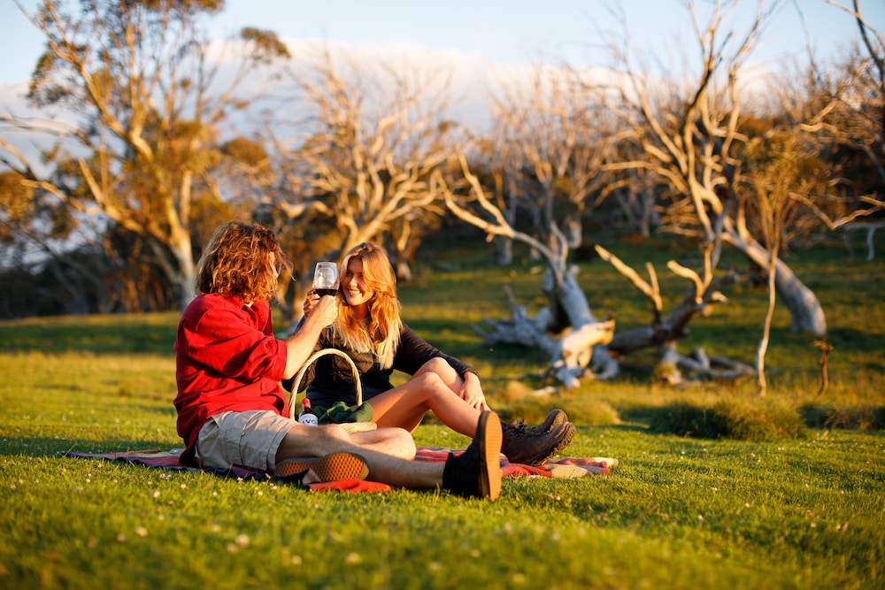 THREDBO ALPINE HOTEL 69/74