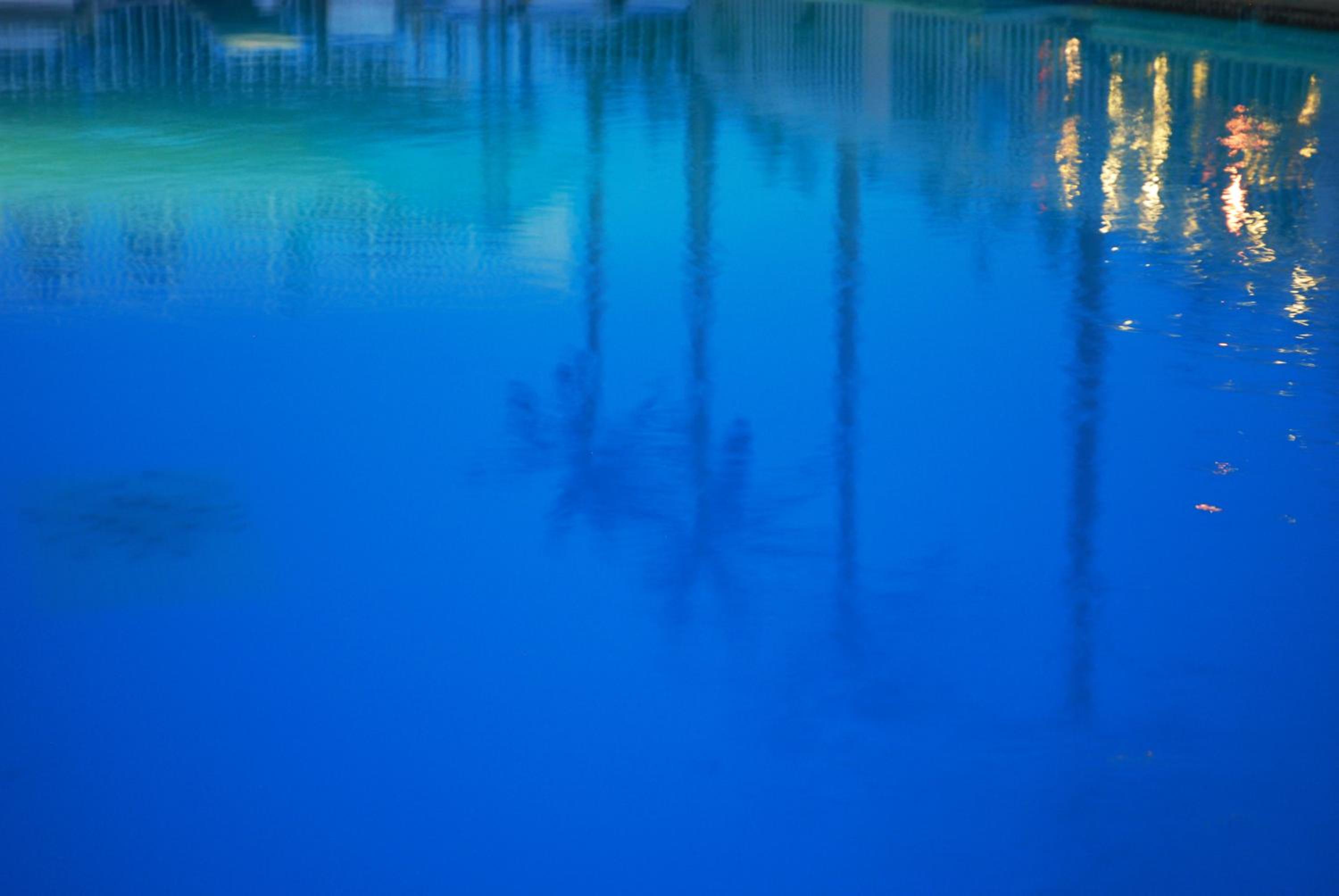 Shalimar Resort 93/100