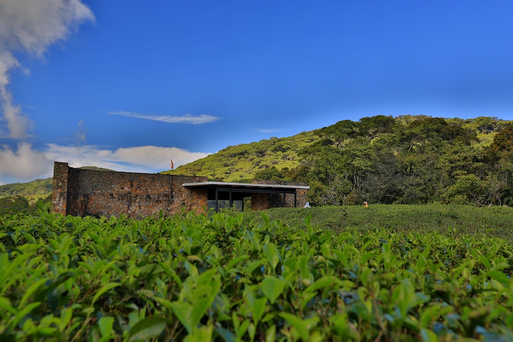 Rainforest Eco Lodge 34/41