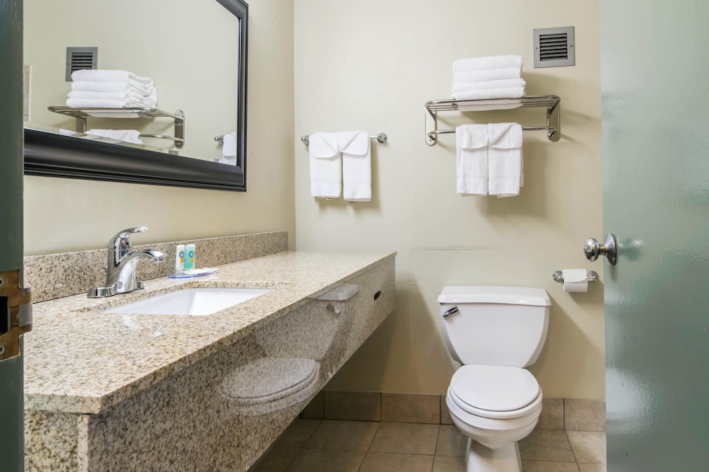 Quality Inn & Suites Horse Cave - Cave City 17/39