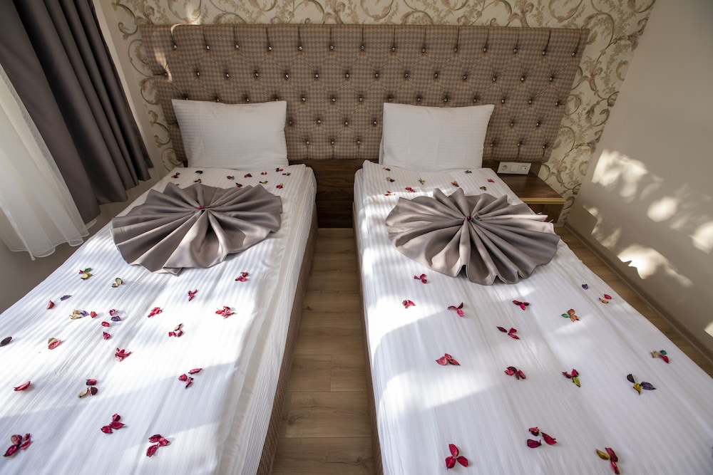 Hotel Mount Ararat 写真5