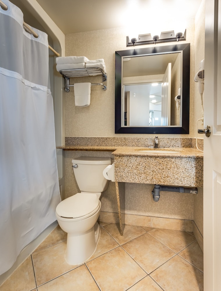 Monte Carlo Inns And Suites Downtown Markham 67/68
