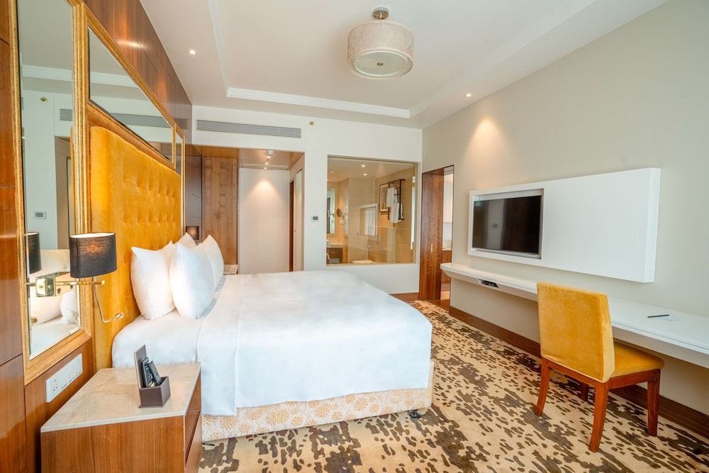 Radisson Blu Pune Hinjawadi 17/50