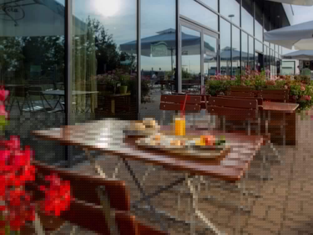 Hotel Ibis Vienna Airport 41/68