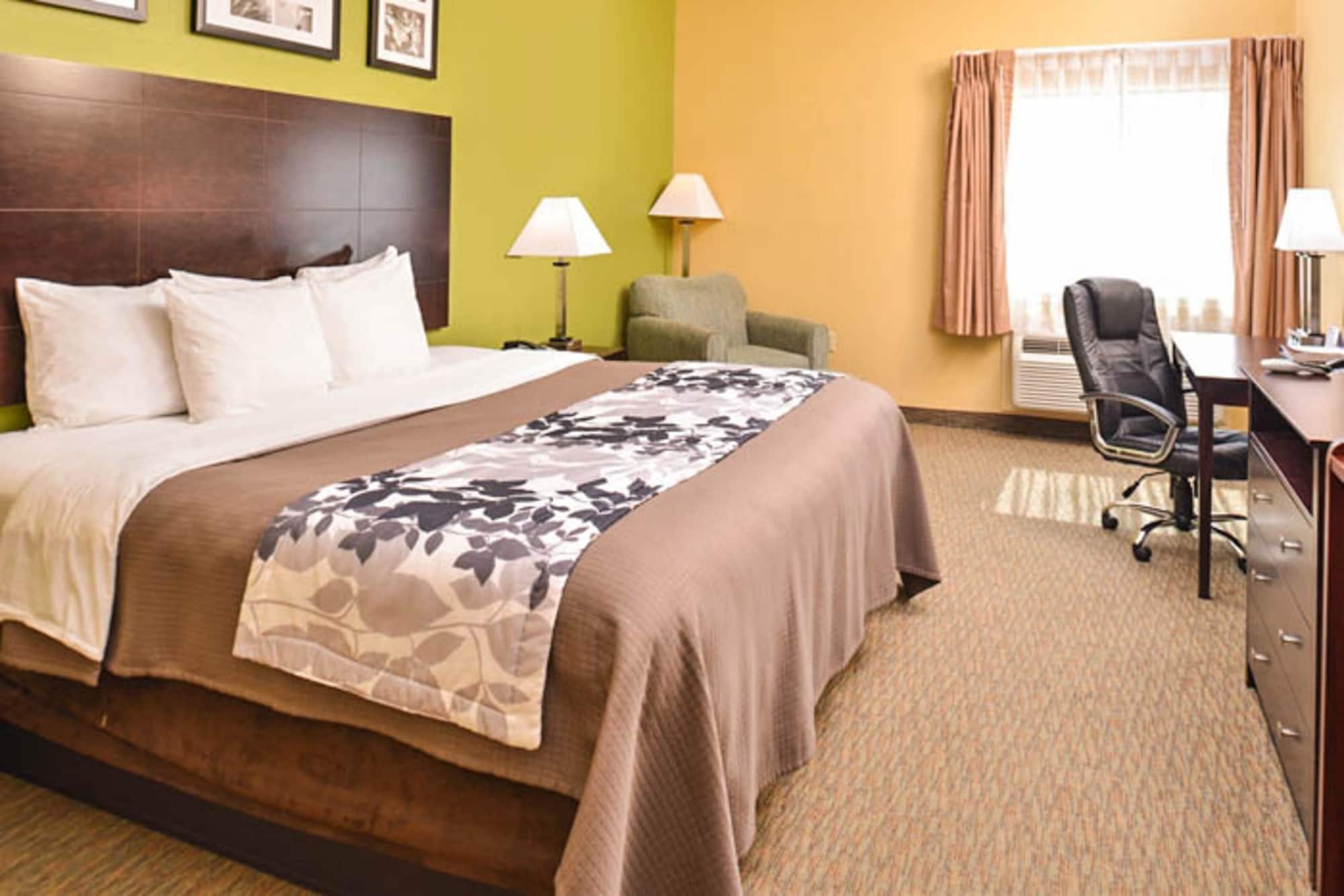 ROOM, KING BED, ACCESSIBLE
