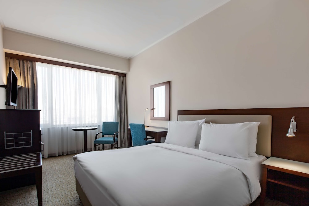 RADISSON BLU HOTEL ANKARA 21/72