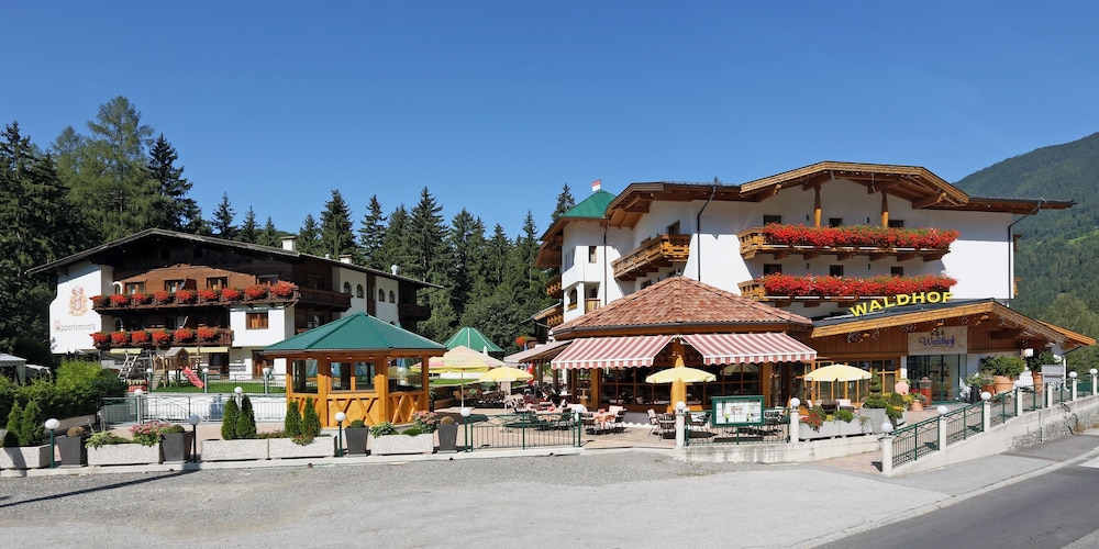 HOTEL WALDHOF 3/50