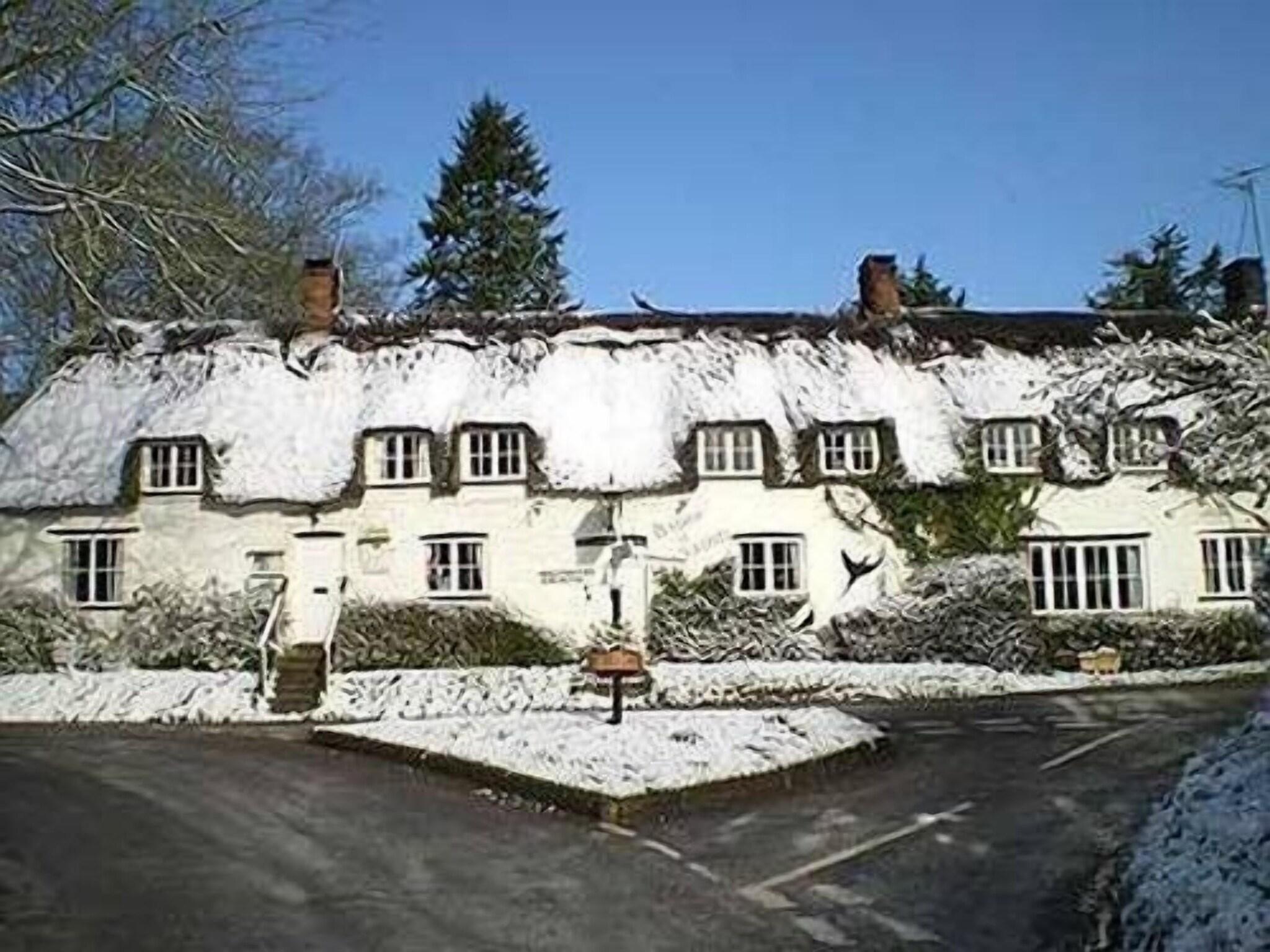 The Brace of Pheasants - Inn 1/33