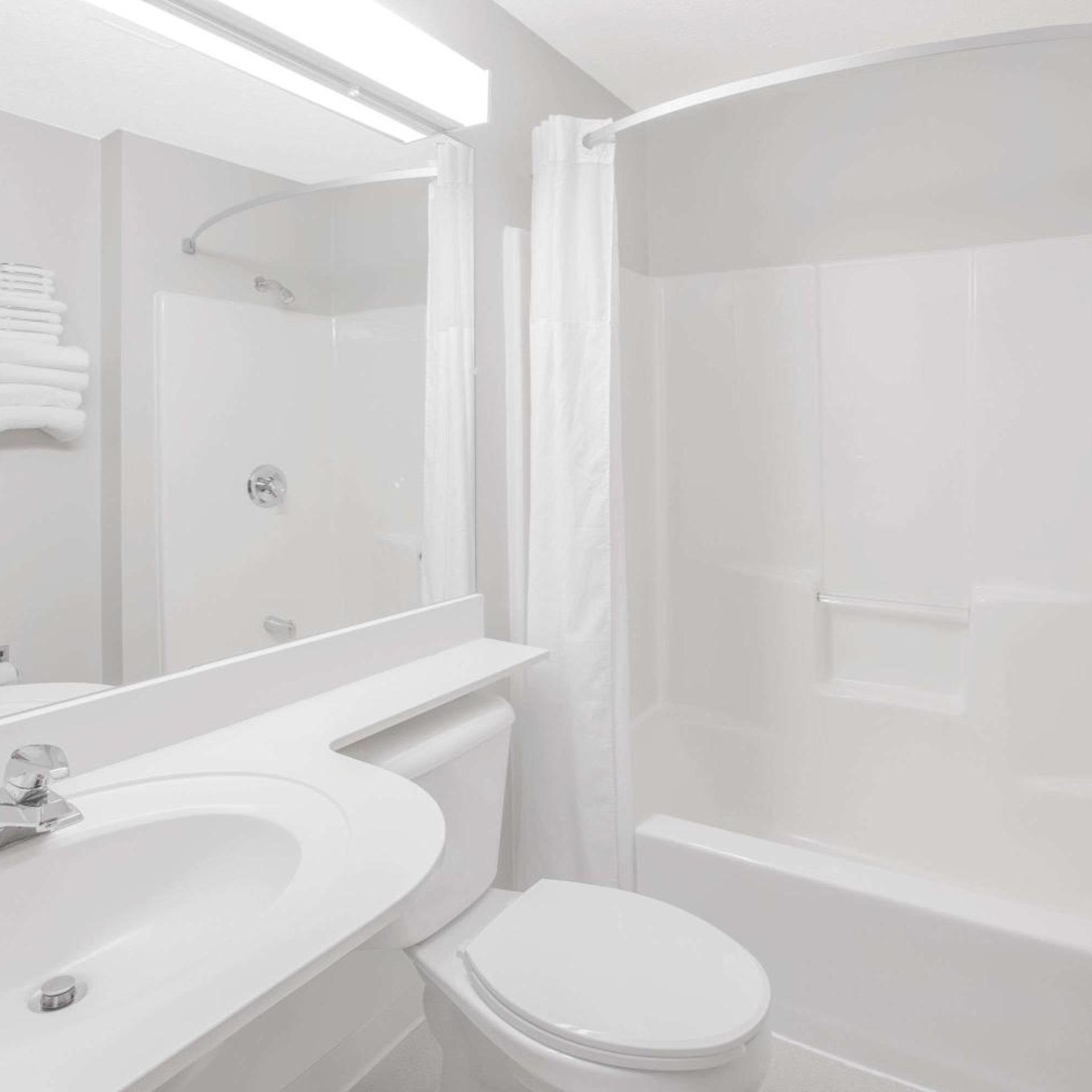 Microtel Inn & Suites by Wyndham Manistee 46/50