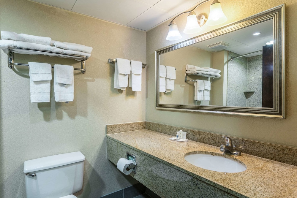 Comfort Inn Decatur Priceville 19/49
