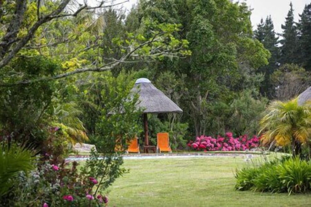 Coral Tree Cottages 16/19
