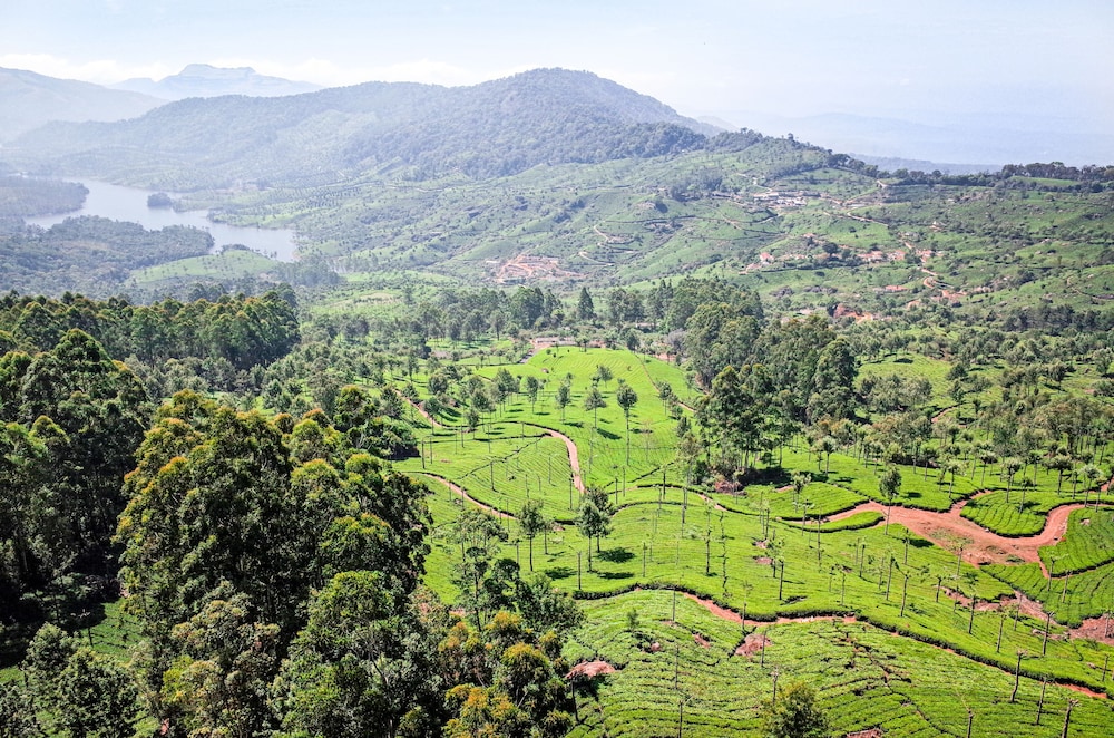 Sterling Munnar 66/73