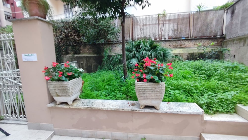 Vatican Green Garden 38/50