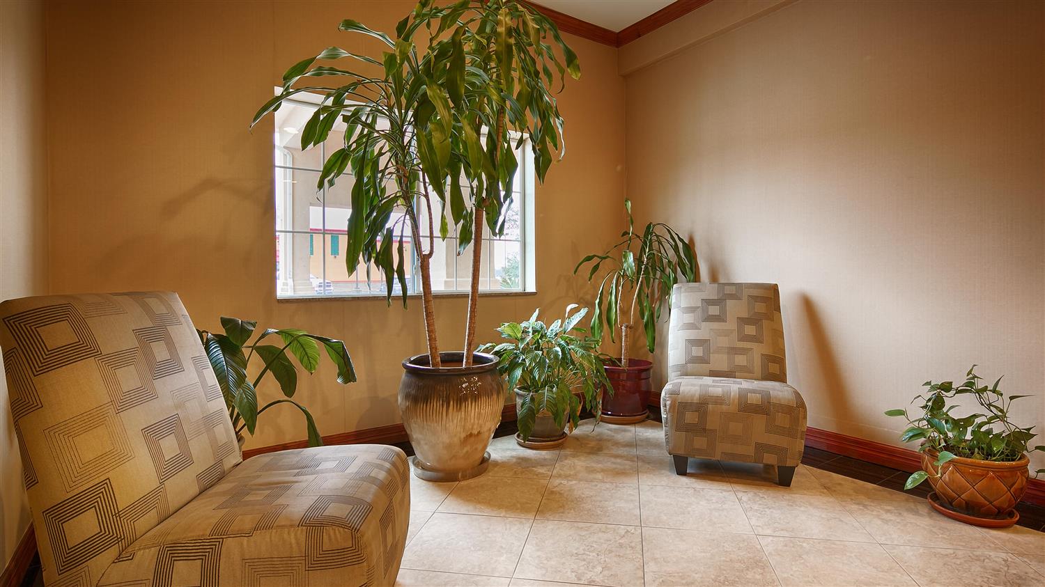 Best Western Cleveland Inn & Suites 9/17