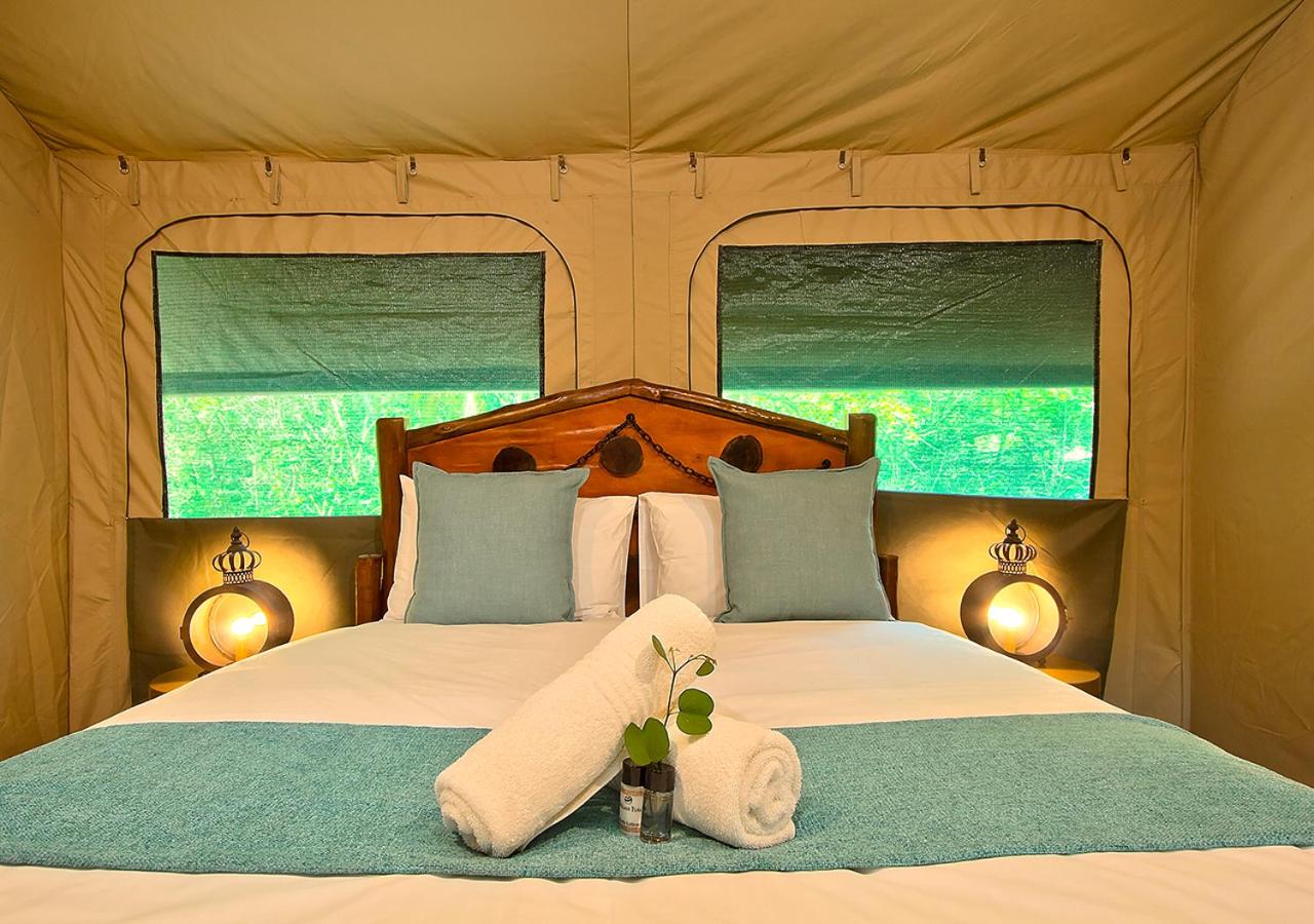 Safari, Tent