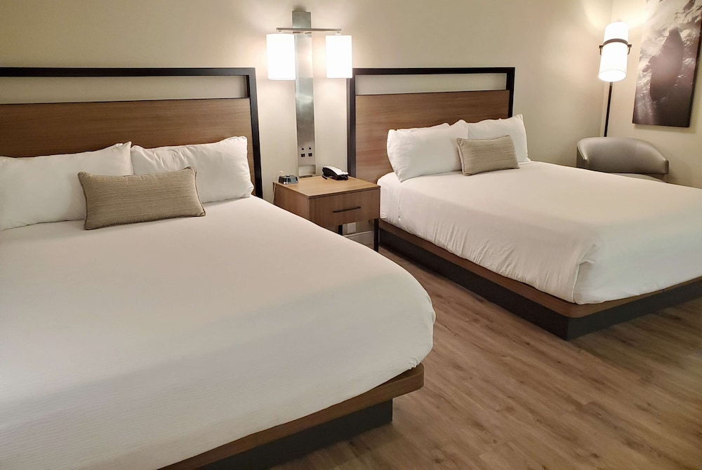 Wyndham Garden San Diego near SeaWorld 32/65