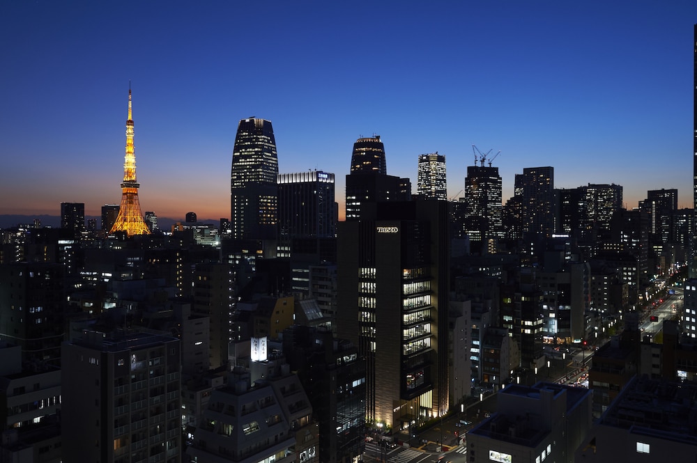 Sotetsu Fresa Inn Shimbashi Karasumoriguchi 26/46