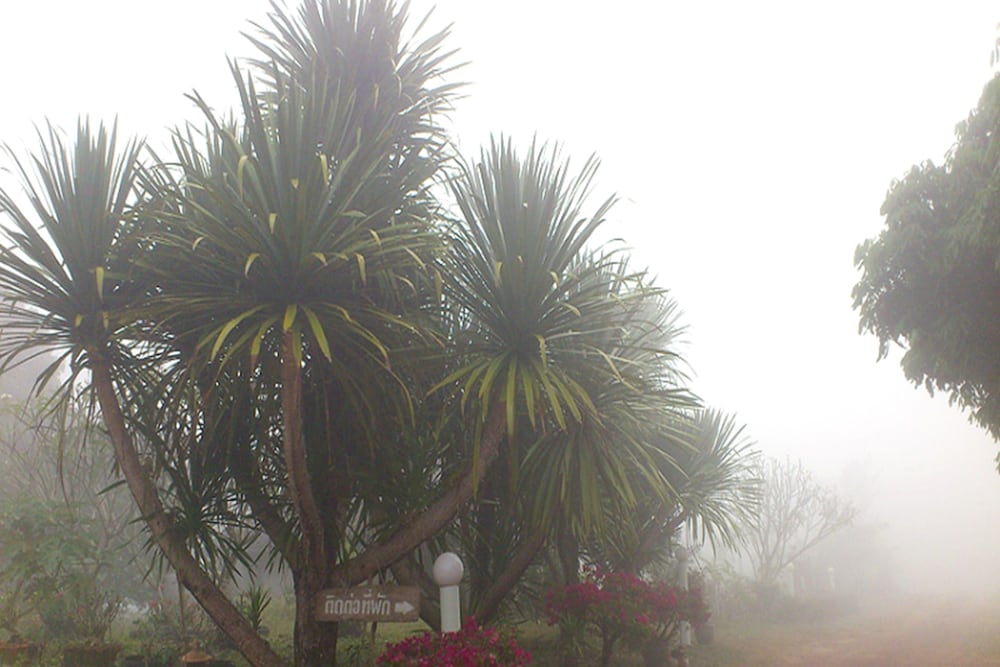 Suan Lamyai Resort 33/45