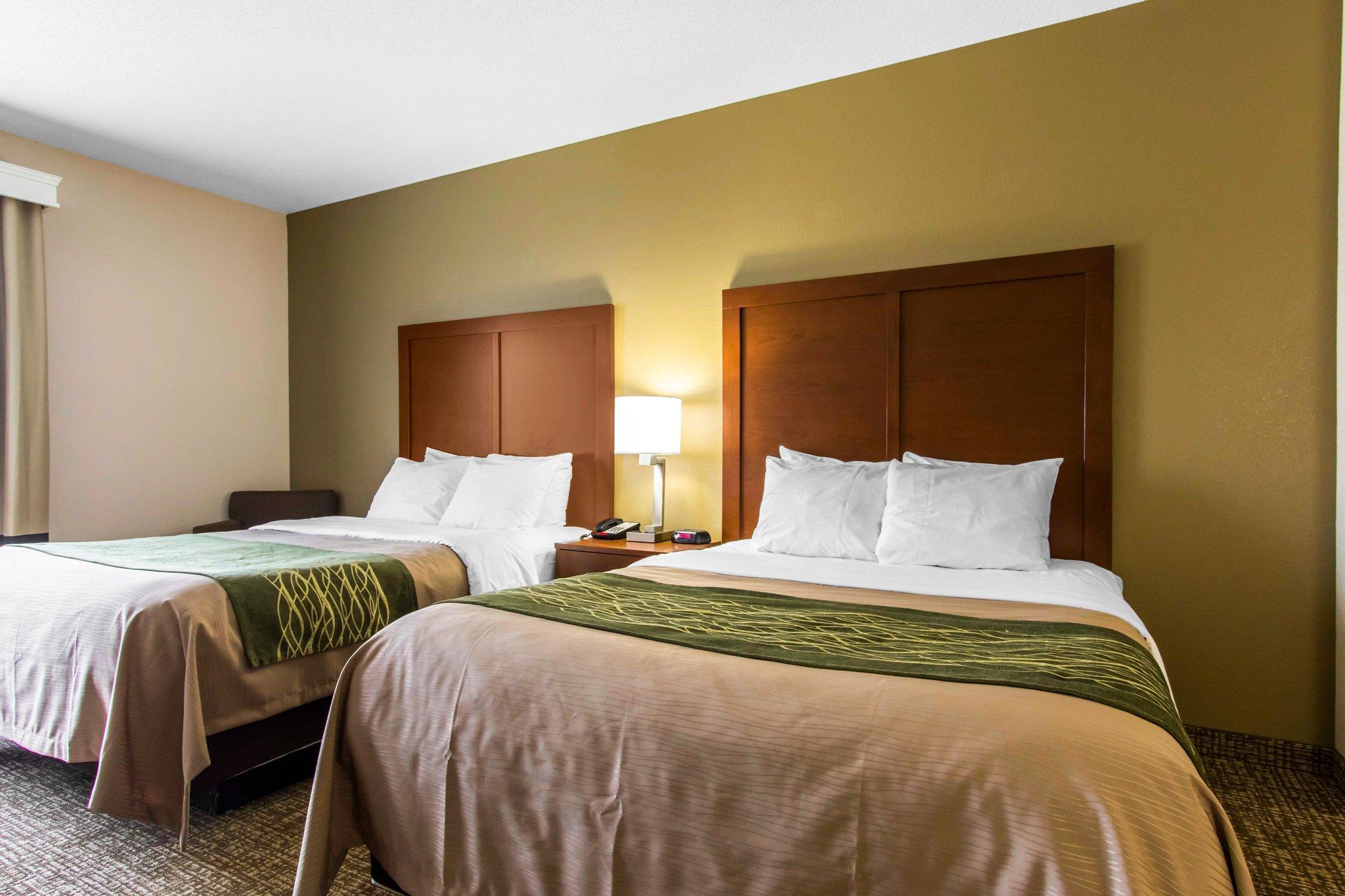 Suite, 2 Queen Beds
