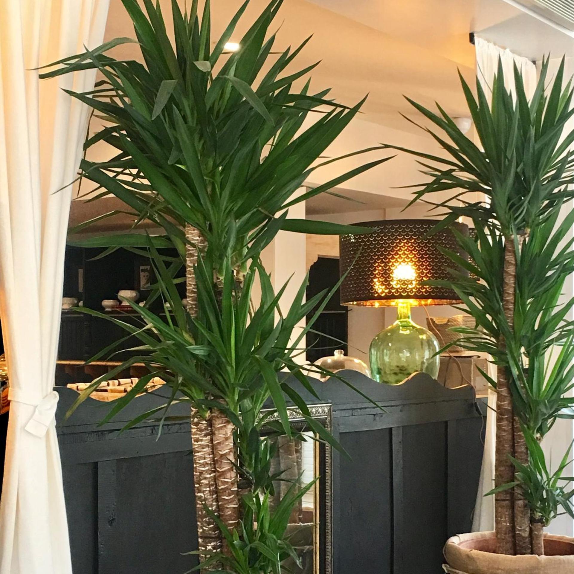 Hotel Valdecoro 3/49