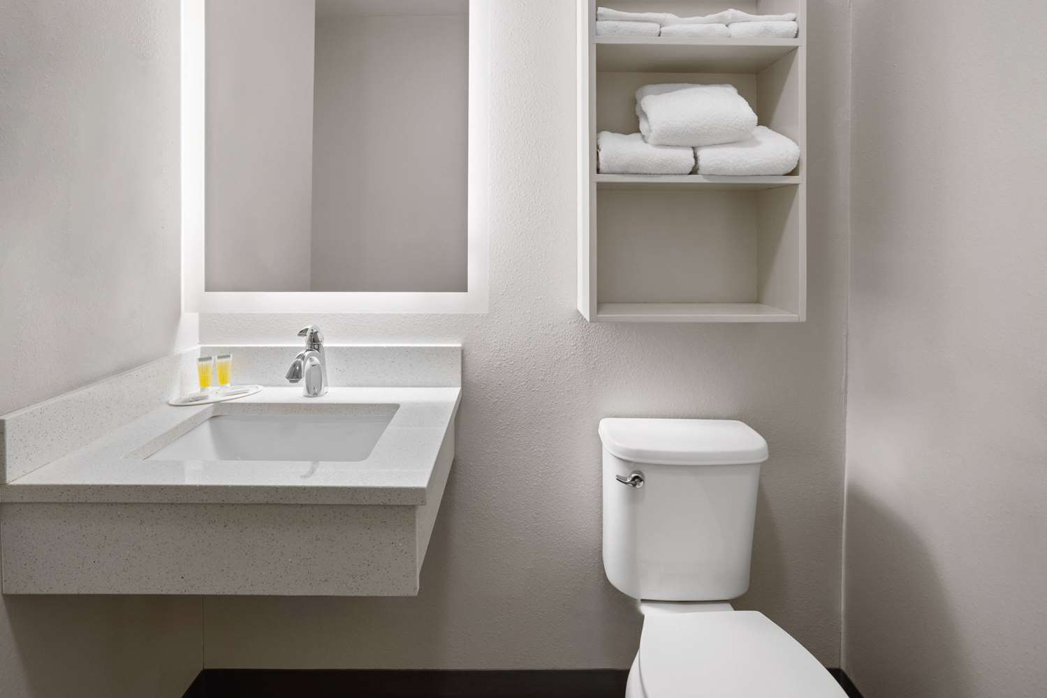 Microtel Inn & Suites by Wyndham Raleigh Durham Airport 31/32
