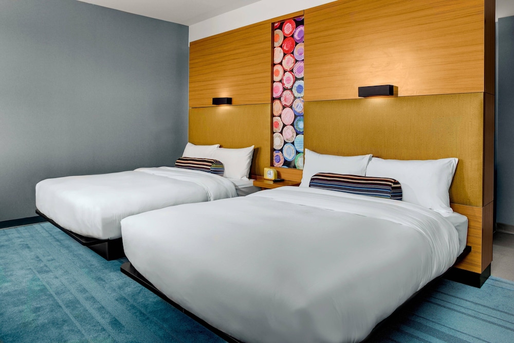 Room at Aloft Chapel Hill, CHAPEL HILL - NC