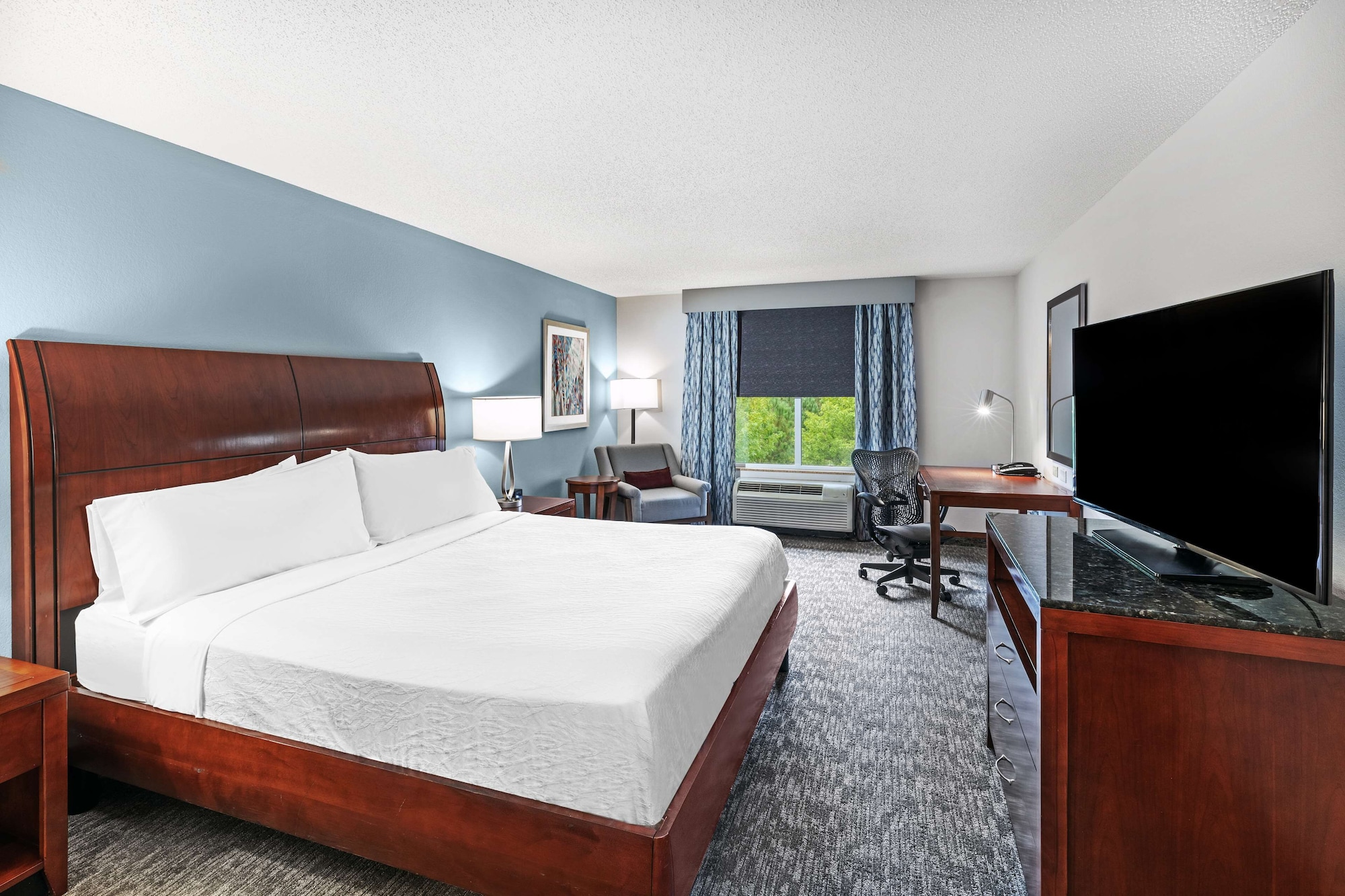 Evolution, Junior Suite, King Bed