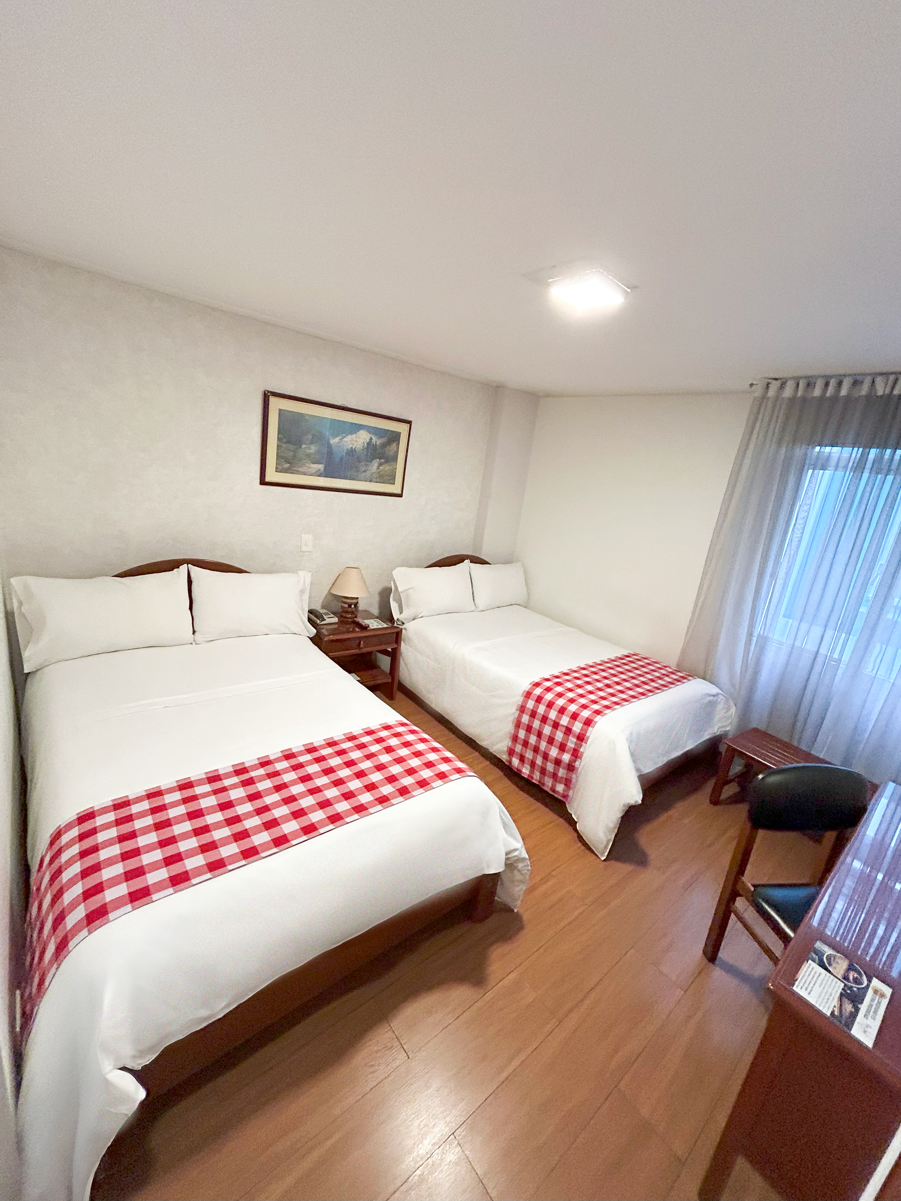 Hotel Don Saul 12/50