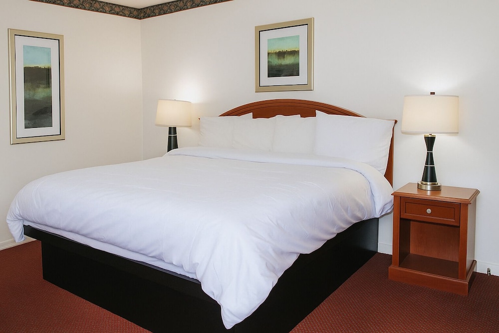 Ventura Motel 14/47