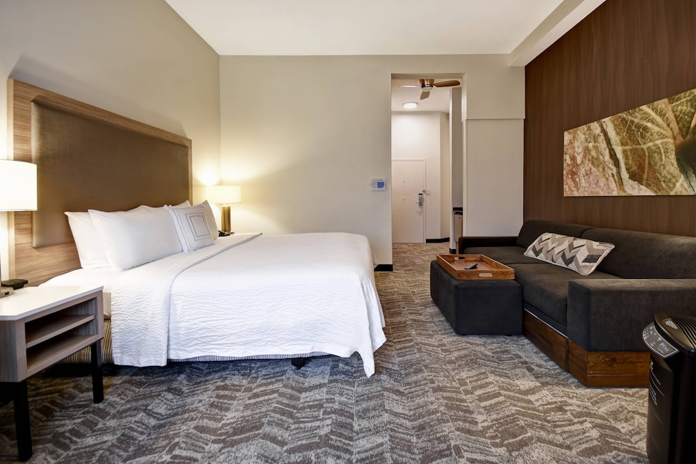 Springhill Suites Atlanta Kennesaw 8/38