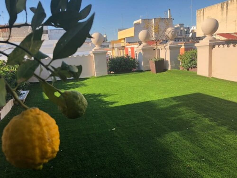 200 Rooms And Terrace 50/54