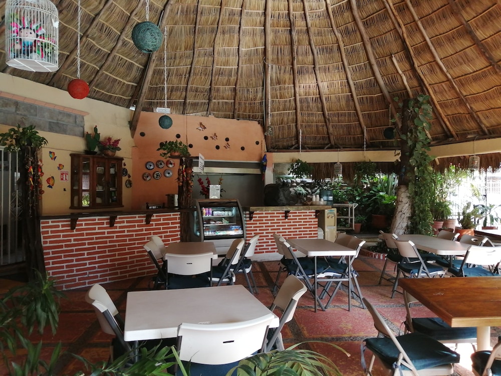 Vallarta Sol 33/50