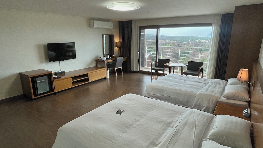 Jeju Aerospace Hotel 14/39
