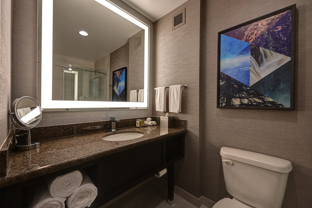 DoubleTree by Hilton Denver International Airport (ex. Holiday Inn Hotel And Suites) 21/45