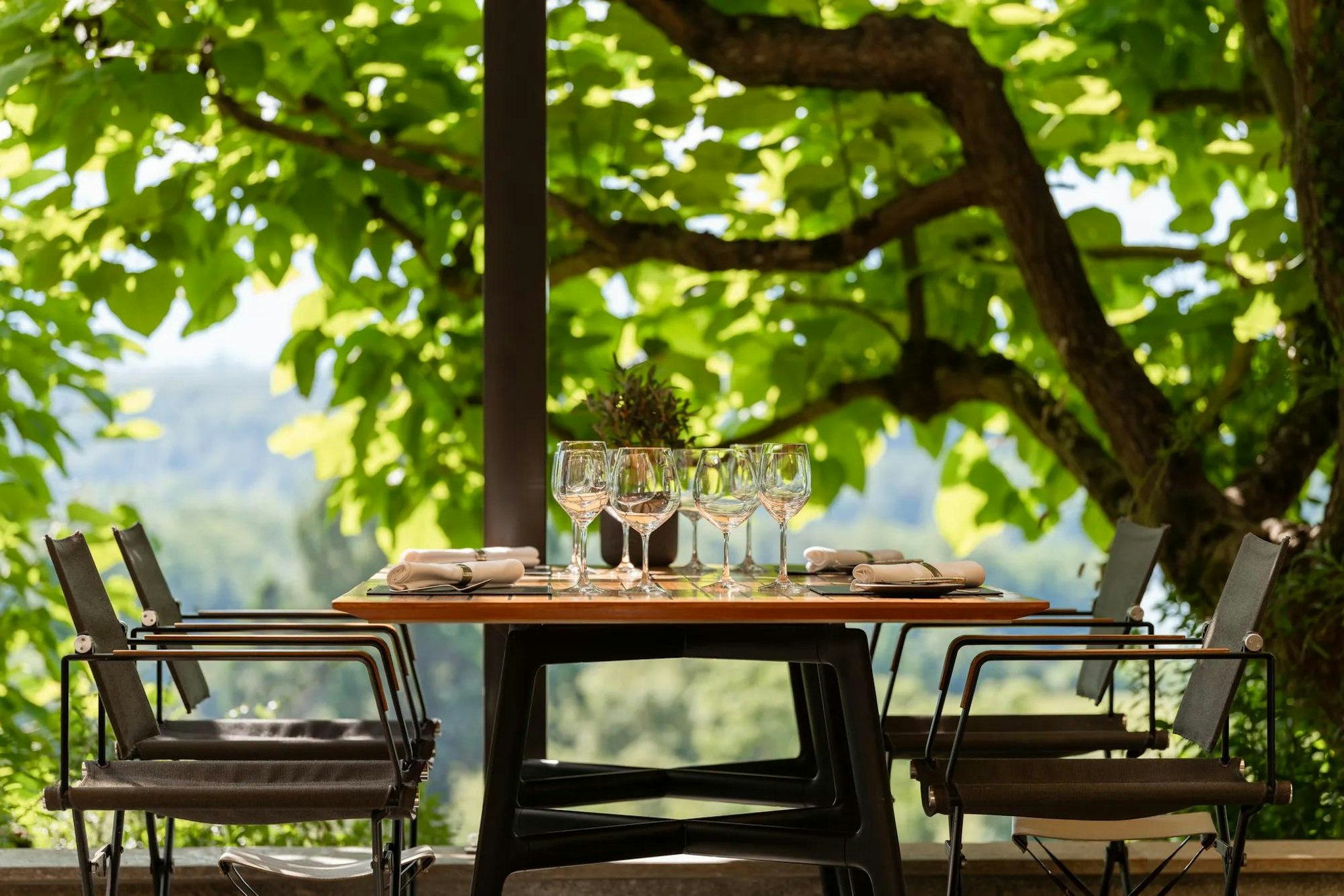 DOMAINE DE CHATEAUVIEUX 26/26