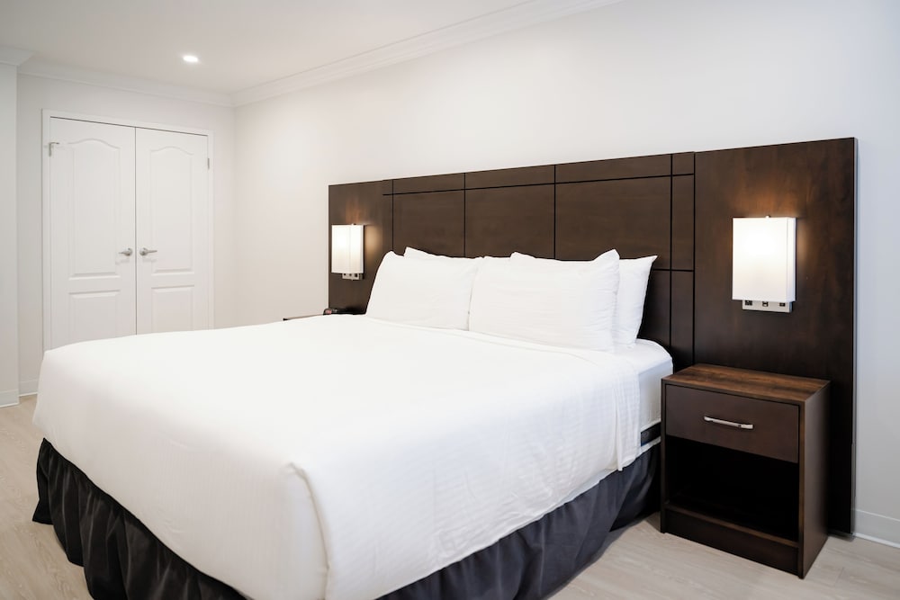 Suite, King Bed, Sofa