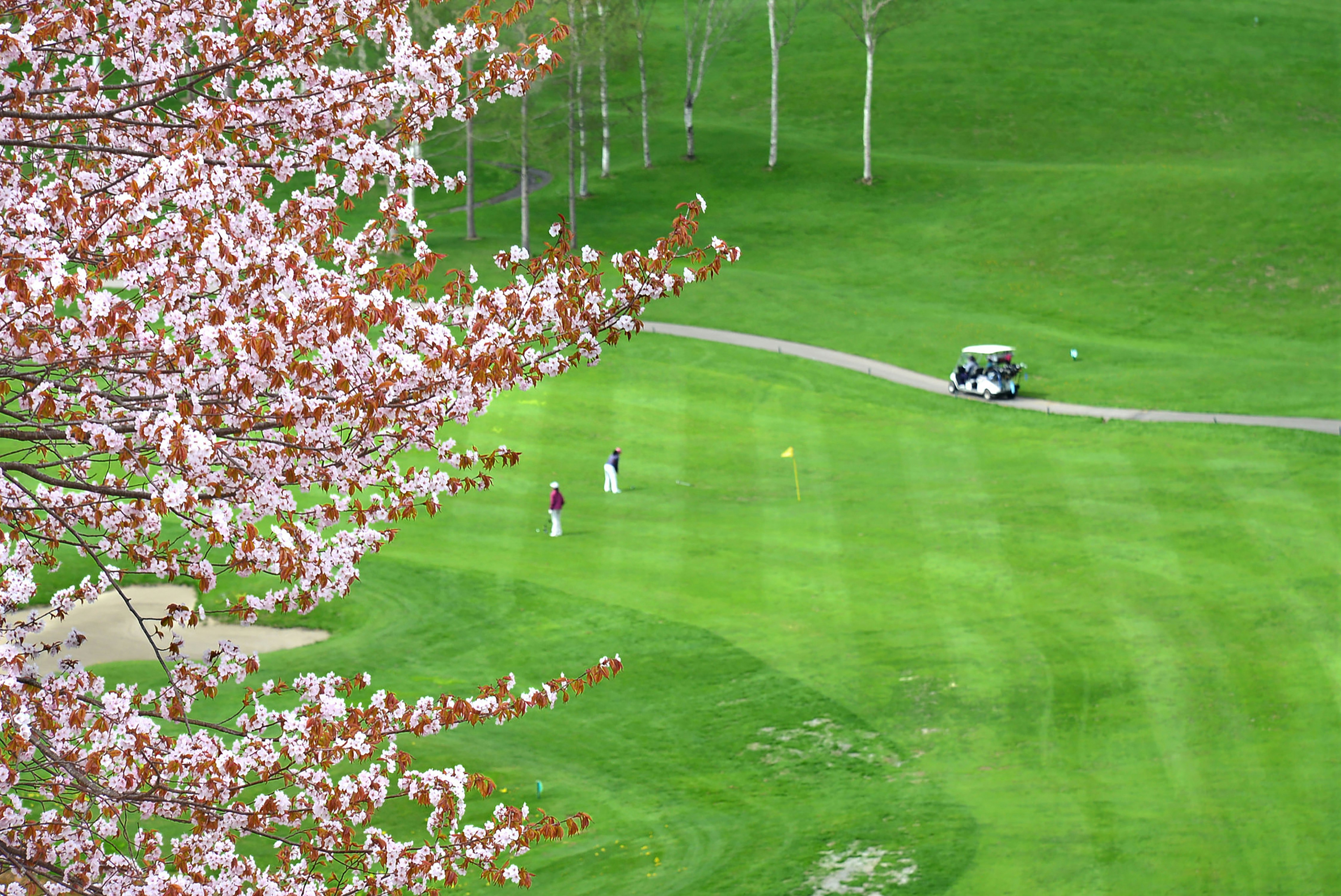 Hilton Niseko Village 62/69