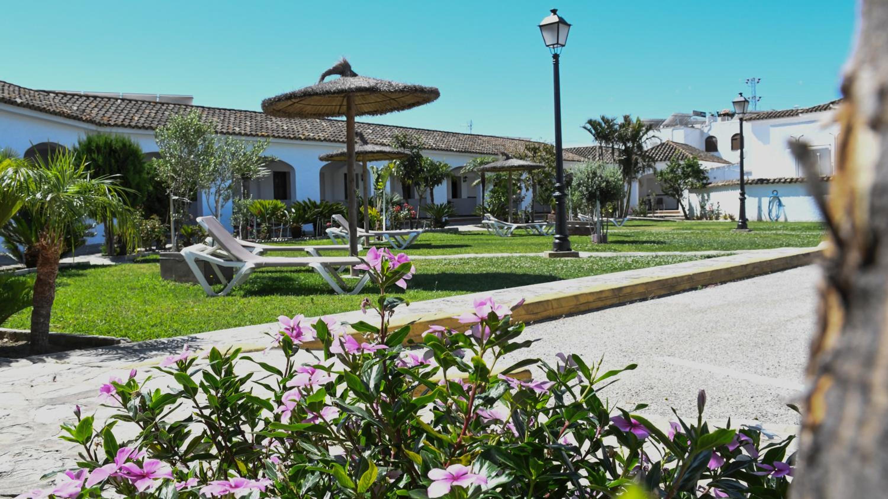 Hotel La Codorniz 64/71
